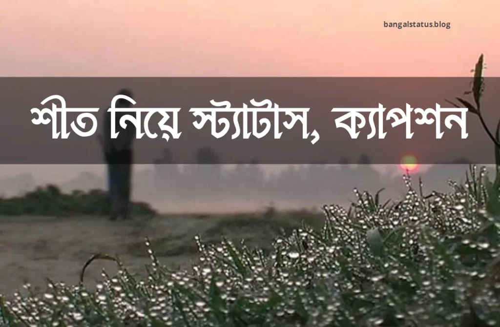 ৩০০+ শীত নিয়ে স্ট্যাটাস, ক্যাপশন, কবিতা ও উক্তি, প্রেরণামূলক উক্তি