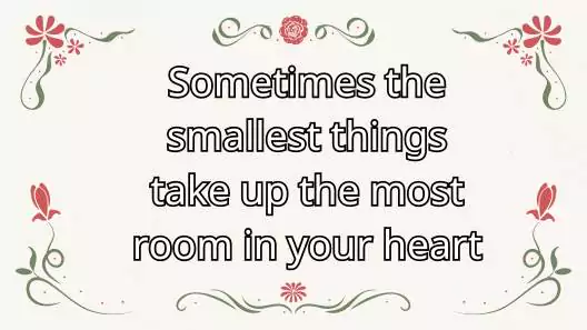 380+ Facebook English Caption | Best caption ideas 2025, attitude status bangla