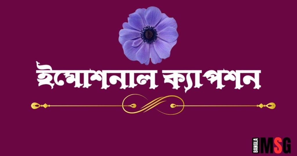 ইমোশনাল ক্যাপশন: বাছাইকৃত ৩০০+ ইমোশনাল স্ট্যাটাস ২০২৫, প্রেমিক প্রেমিকার রোমান্টিক পিক