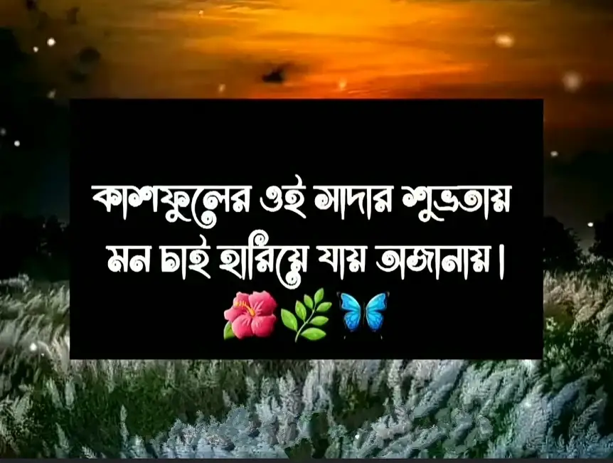 কাশফুল নিয়ে ক্যাপশন | শরতের কাশফুল নিয়ে ক্যাপশন |kashful caption, islamic status bangla
