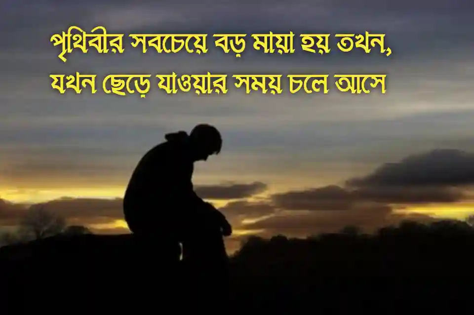 মায়া নিয়ে উক্তি ২০২৫ | মায়া নিয়ে স্ট্যাটাস ( সেরা ক্যাপশন ), আবেগি কষ্টের স্ট্যাটাস