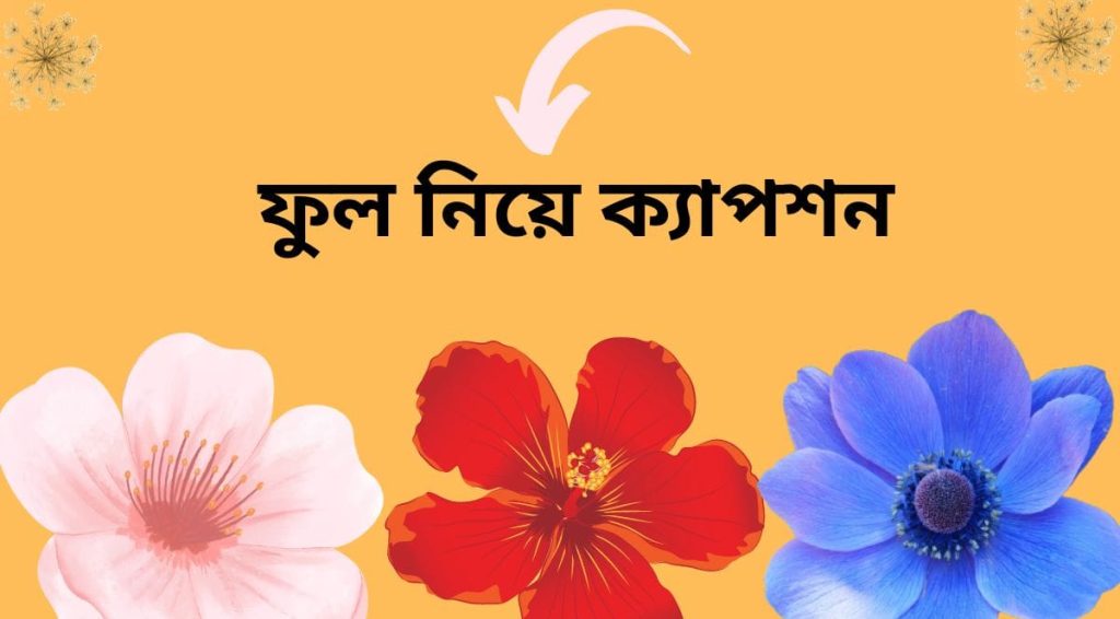 ফুল নিয়ে ক্যাপশন: 300+ ফুল নিয়ে বাংলা উক্তি, সেরা ক্যাপশন, আবেগি কষ্টের কথা