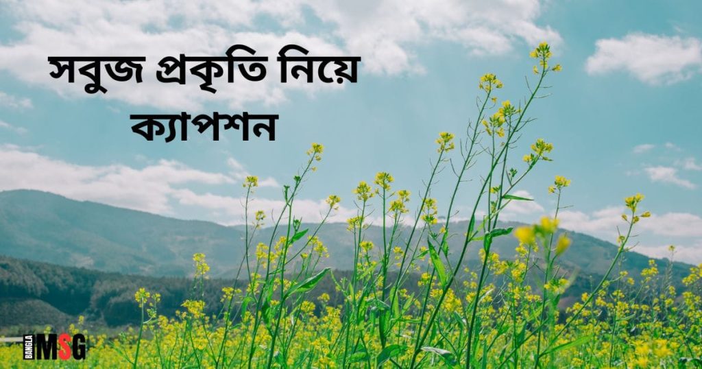 প্রকৃতি নিয়ে ক্যাপশন: প্রকৃতির অপূর্ব সৌন্দর্য নিয়ে উক্তি ও রোমান্টিক স্ট্যাটাস, ইসলামিক স্ট্যাটাস