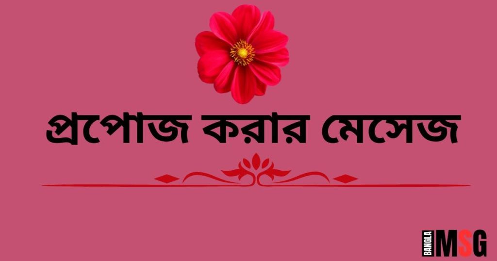 প্রপোজ করার মেসেজ: ৩০০+ প্রপোজ করার SMS ও উক্তি, বেস্ট ক্যাপশন বাংলা attitude boy