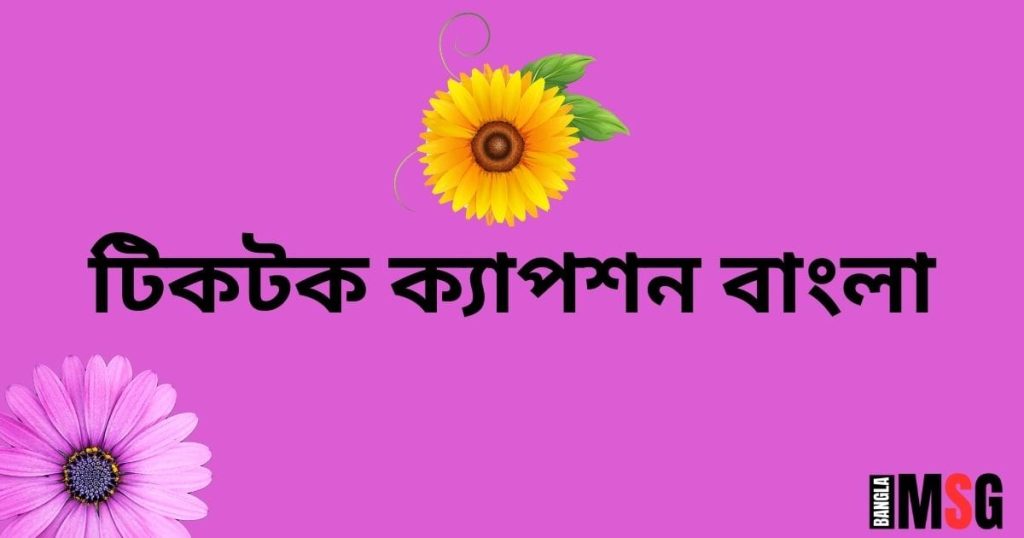 টিকটক ক্যাপশন বাংলা ২০২৫: Sad, Love, Stylish, Attitude, মিয়া খলিফার কষ্টের নাটক