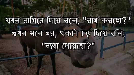 160+ সেইরাম মজার funny status bangla 2025, প্রেমের গল্প