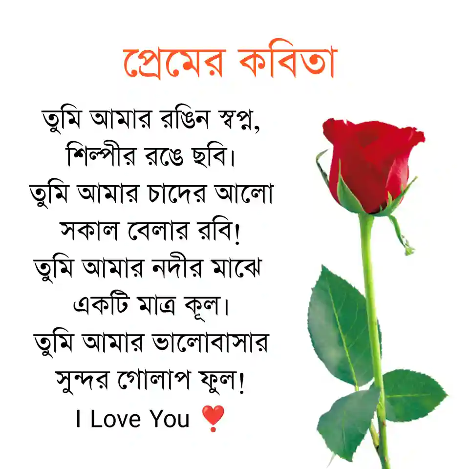 ১৯৯+ প্রেমের কবিতা ২০২৫ | ভালোবাসার কবিতা ক্যাপশন – Premer kobita bangla, কষ্ট নিয়ে স্ট্যাটাস
