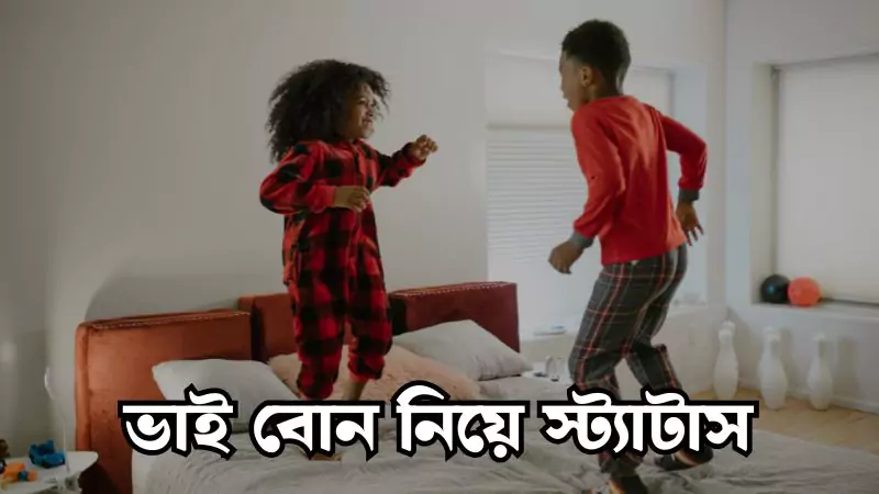 2025 সালের সেরা ২৯৯+ ভাই বোন নিয়ে স্ট্যাটাস, পিক, উক্তি ও কিছু কথা, প্রেমের ছন্দ