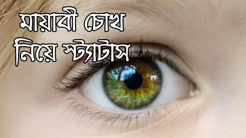 250+ মায়াবী চোখ নিয়ে স্ট্যাটাস, উক্তি, পিক ও whatsapp status – 2025, কষ্টের ছন্দ