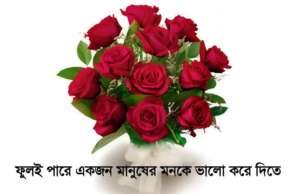 ২৫০+ ফুল নিয়ে ক্যাপশন, স্ট্যাটাস ও কবিতা | Ful Niye Caption, কষ্টের পিক