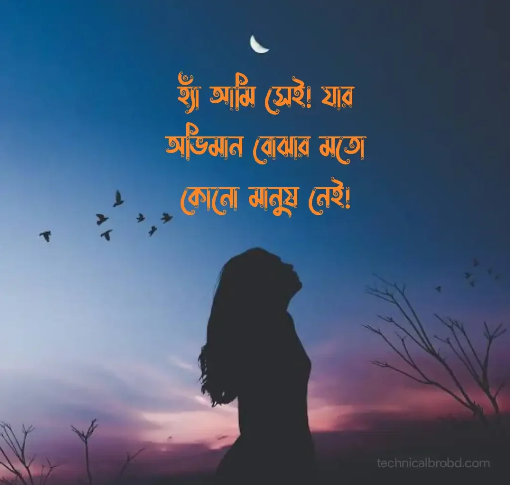 399+ BEST Sad Caption Bangla | দুঃখের ক্যাপশন বাংলা, ইসলামিক স্ট্যাটাস