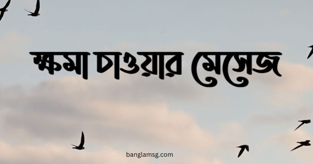 ৭০+ ক্ষমা চাওয়ার মেসেজ: ক্ষমা চাওয়ার সেরা SMS, চিঠি ও উক্তি ২০২৫, কষ্টের কিছু কথা