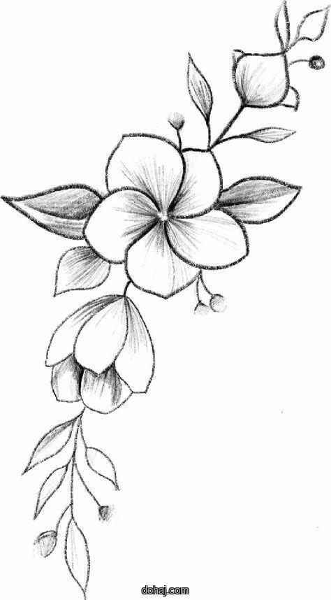 Artistic Beautiful Flower Drawing