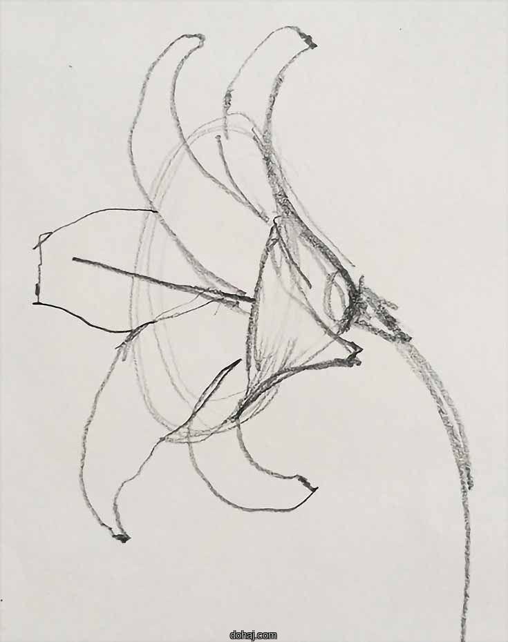 Basic Flower Drawing