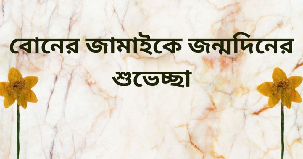 বোনের জামাইকে জন্মদিনের SMS: ছোট ও বড় বোনের জামাইকে জন্মদিনের শুভেচ্ছা Msg!, sad status bangla