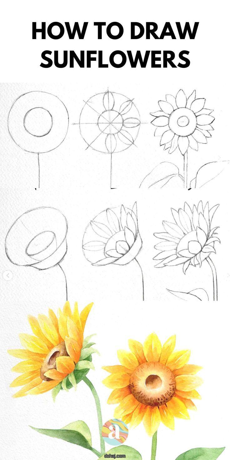 Beautiful Flower Drawing Designs