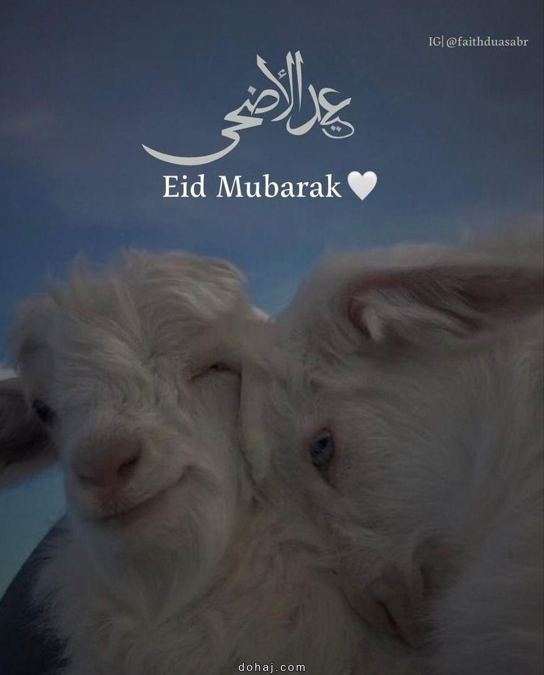 Beautiful New Eid Mubarak Gif