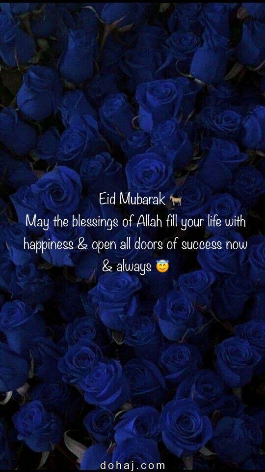 Beautiful Rose Beautiful Eid Mubarak Images