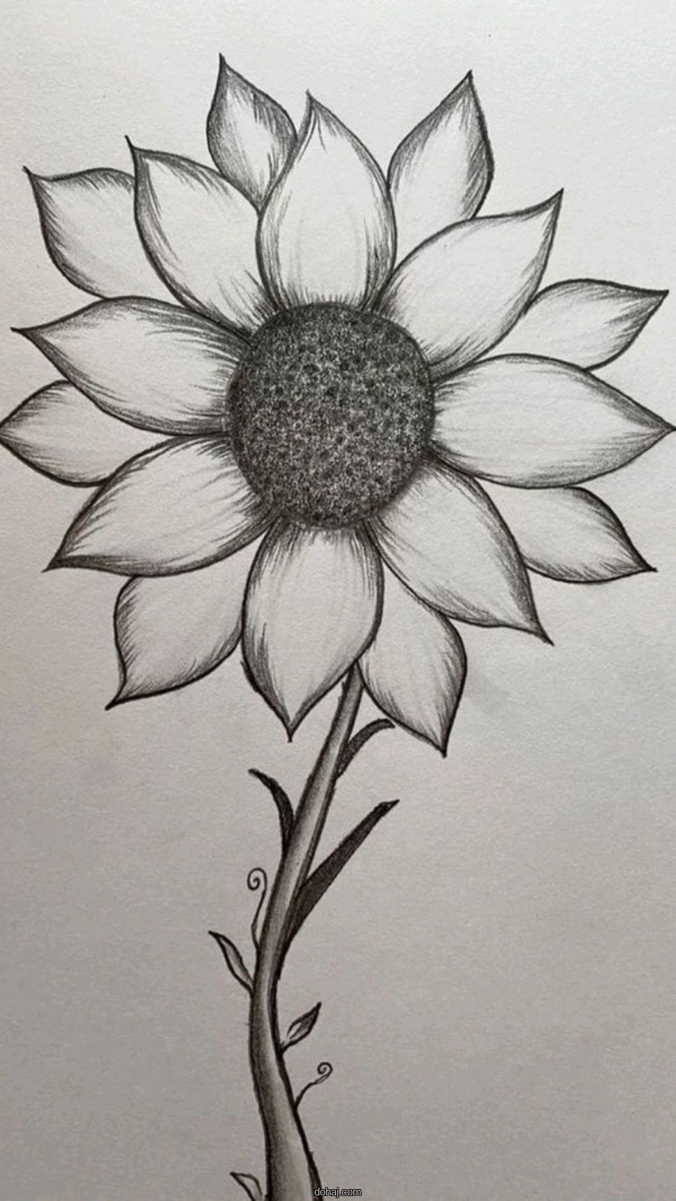Big Flower Drawing Easy