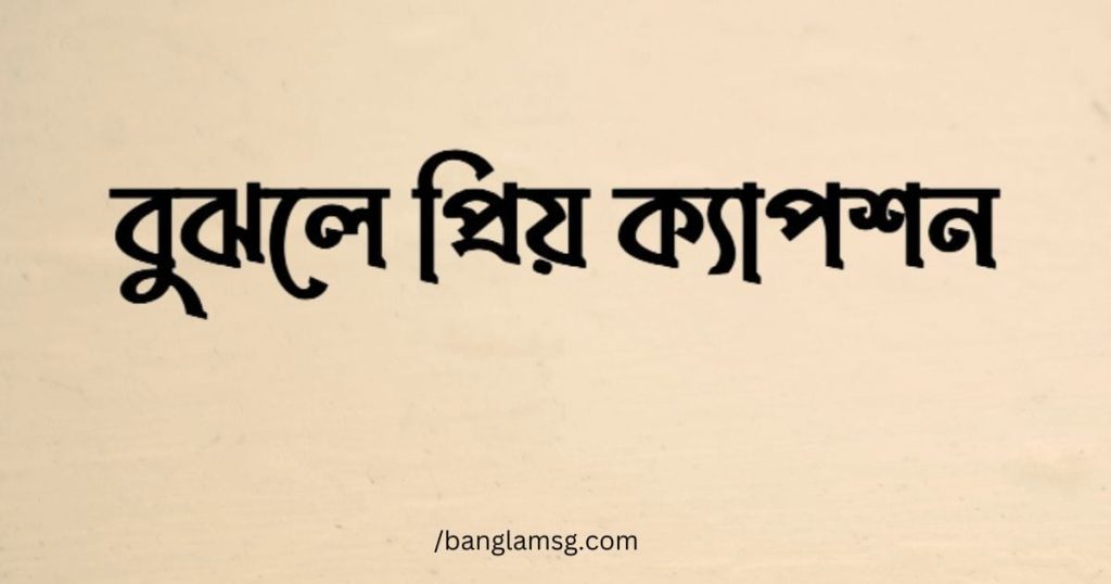 বুঝলে প্রিয় ক্যাপশন ২০২৫: ৫০+ বুঝলে প্রিয় caption, status, ছন্দ, উক্তি, প্রেমের ছন্দ পিক
