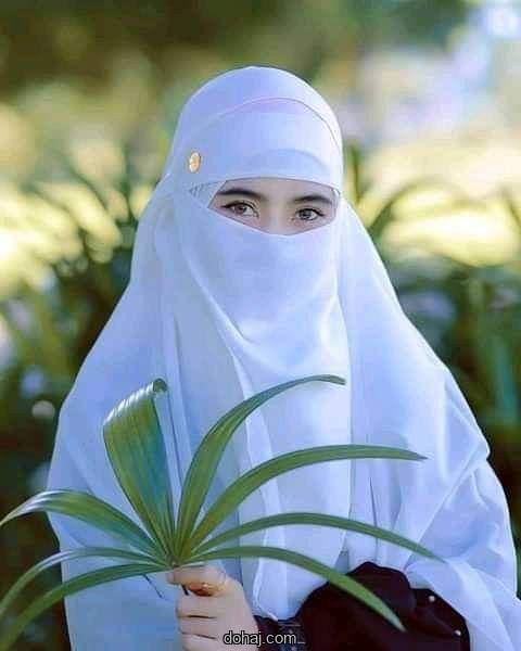 খাস পর্দা বোরকা