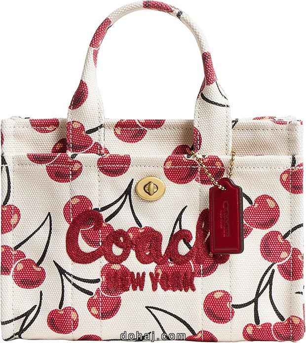 Coach Idol Bag 23