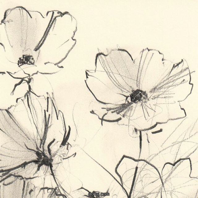 Color Flower Drawing