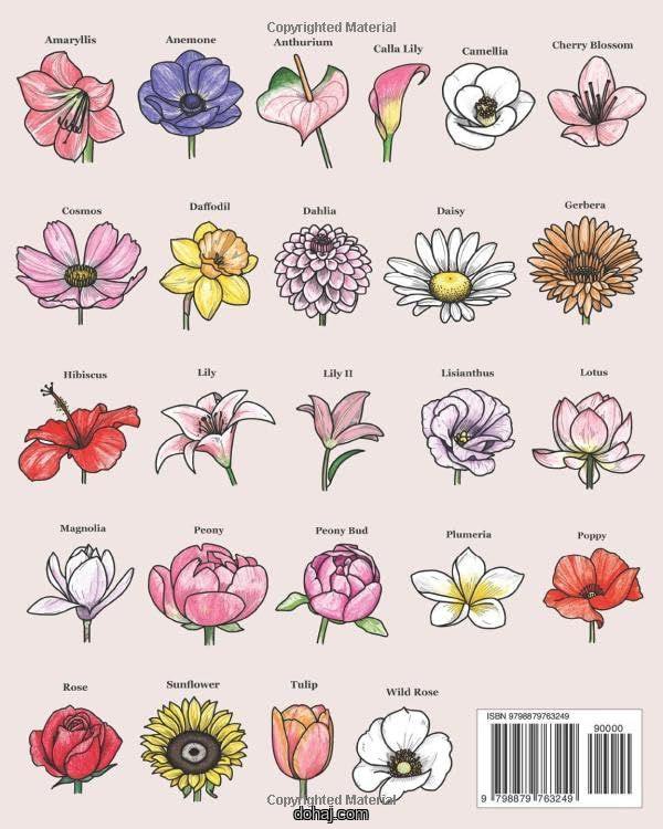 Creative Simple Flower Designs For Pencil Drawing