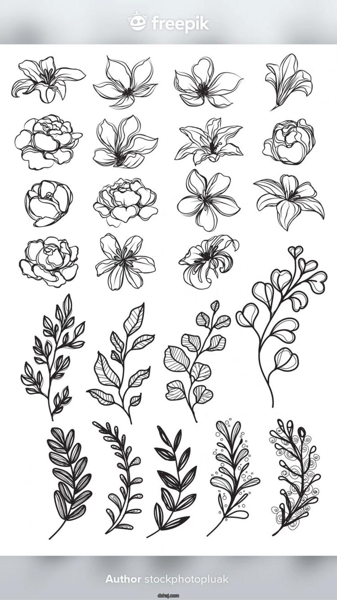 Easy Flower Drawing For Kids