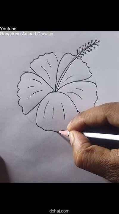 Floral Flower Drawing