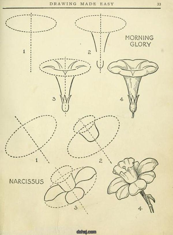 Flower Drawing Designs