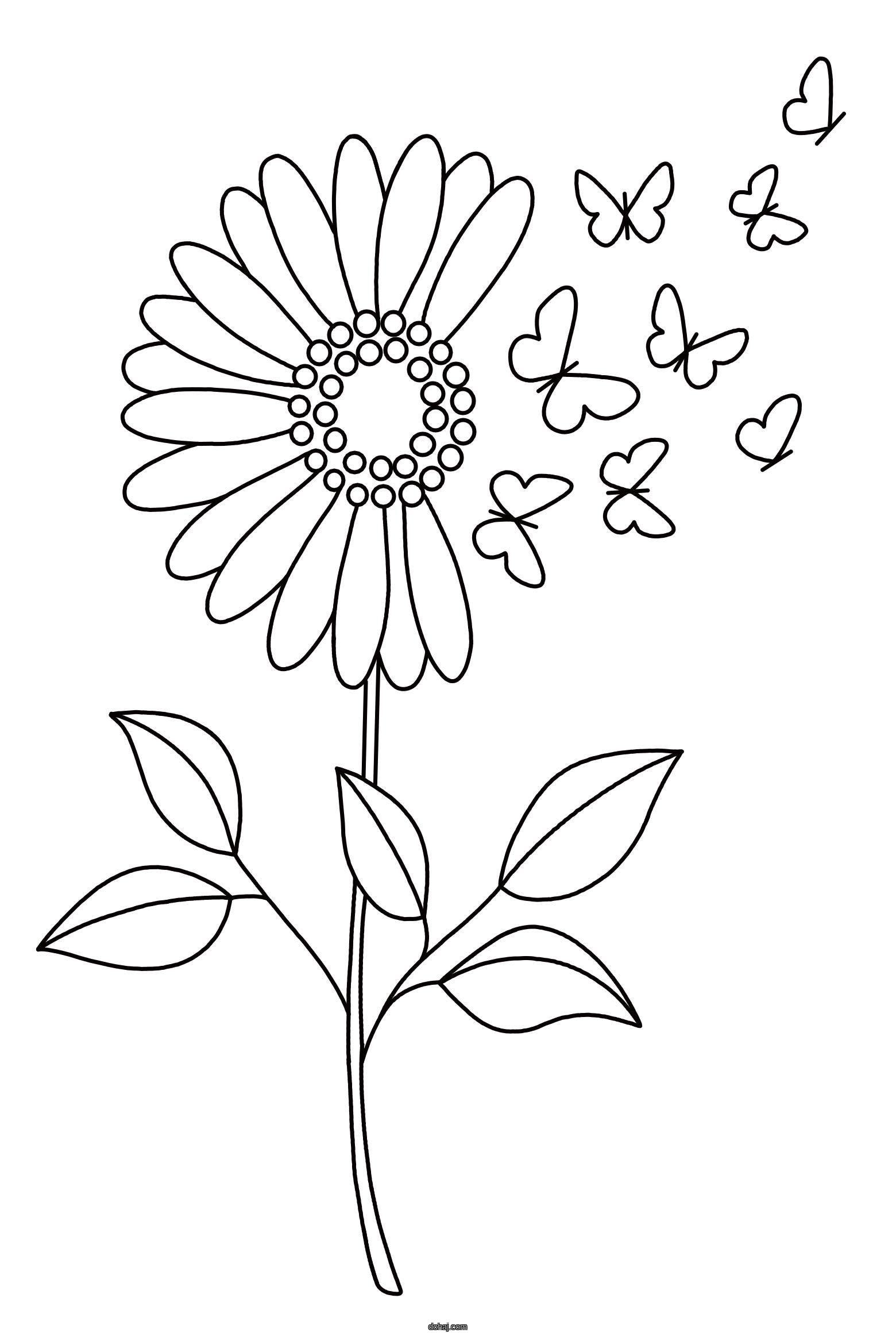 Flower Drawing Images