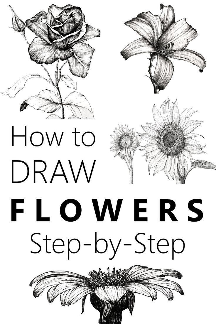 Flower Easy Drawing