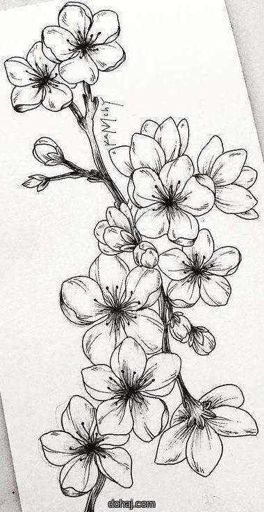 Flower Embroidery Designs Drawing
