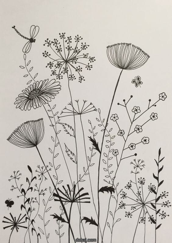 Hibiscus Flower Drawing