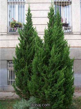 ইসলামিক ছেলেদের পিকচার ২০২৫