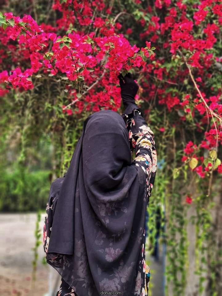 New Borka Collection