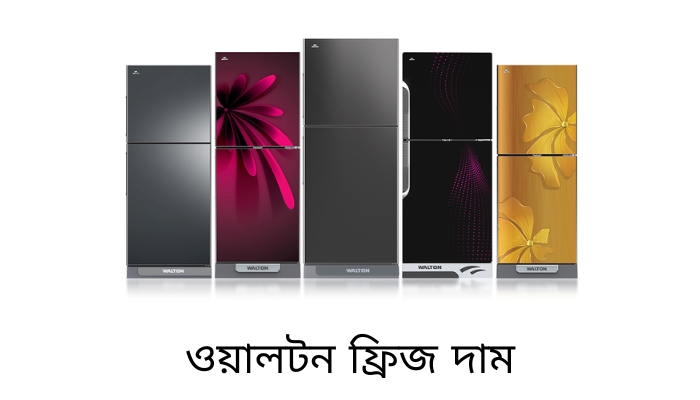 ওয়ালটন ফ্রিজ দাম, কষ্টের স্ট্যাটাস বাংলা