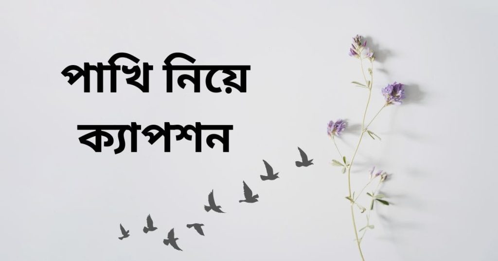 পাখি নিয়ে ক্যাপশন: মুক্ত পাখি নিয়ে ক্যাপশন, কবিতা, উক্তি, facebook status