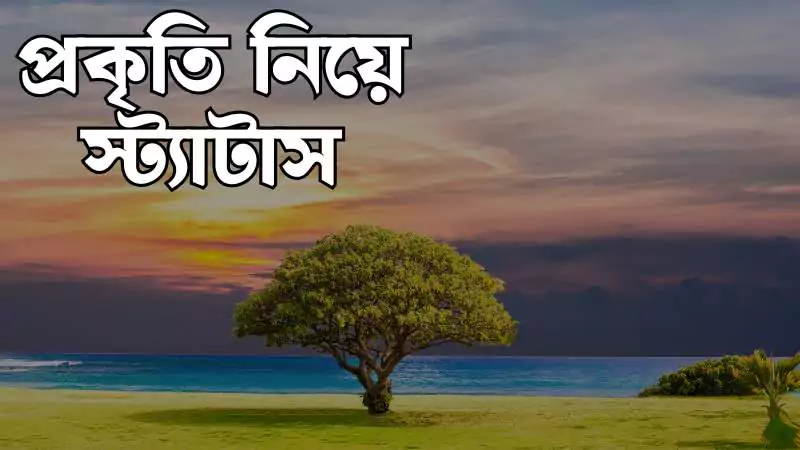 প্রকৃতি নিয়ে স্ট্যাটাস – 2025 Nature Status Bangla Collection | প্রাকৃতিক সৌন্দর্যের অনুপ্রেরণামূলক স্ট্যাটাস, কষ্টের ছন্দ