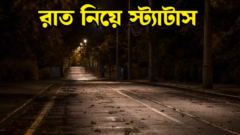 রাত নিয়ে স্ট্যাটাস 2025 | Good Night Status Bangla, চাপা কষ্টের স্ট্যাটাস
