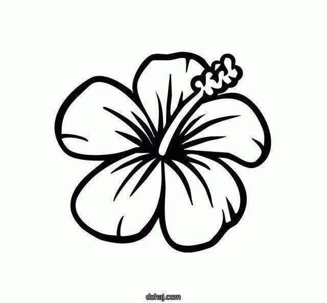 Realistic Flower Drawing