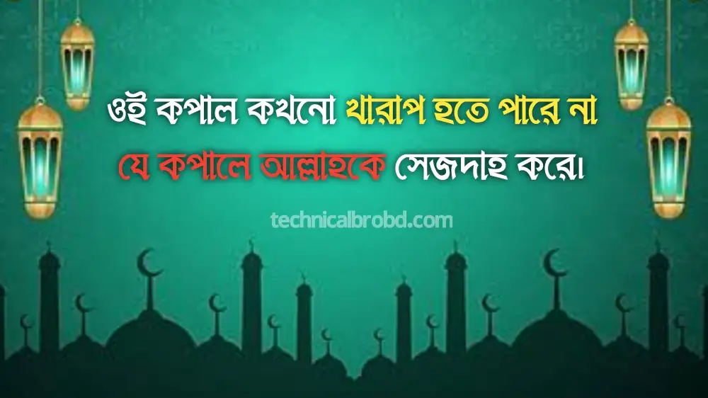 সেরা ৫০টি কোরআন হাদিসের বাণী, ইসলামিক বাণী ও উপদেশ, ফেসবুক ক্যাপশন বাংলা