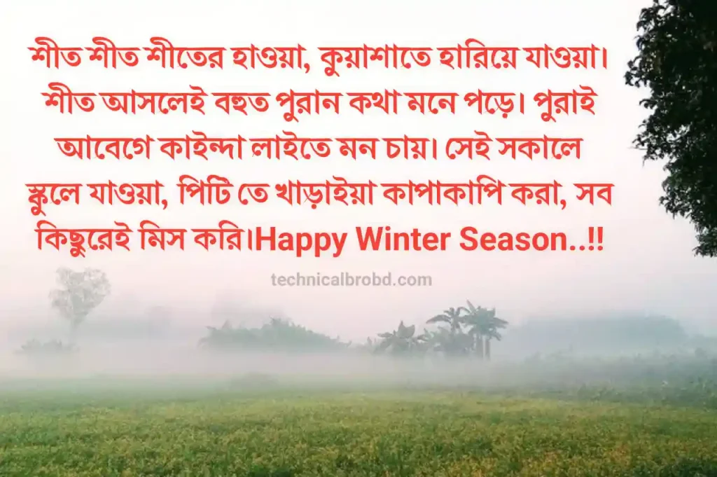 শীত নিয়ে স্ট্যাটাস, উক্তি, কবিতা, ক্যাপশন | শীতের সকাল স্ট্যাটাস, জন্মদিনের শুভেচ্ছা স্ট্যাটাস