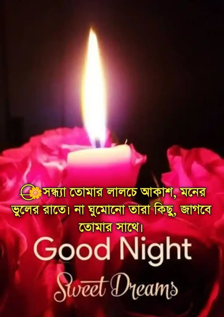 শুভ রাত্রি রোমান্টিক মেসেজ | শুভ রাত্রি শুভেচ্ছা |গুড নাইট মেসেজ বাংলা, মিষ্টি প্রেমের ছন্দ sms
