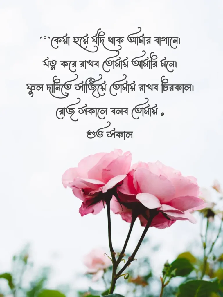 শুভ সকাল রোমান্টিক মেসেজ | শুভ সকাল স্ট্যাটাস, মেসেজ, এসএমএস, islamic status bangla