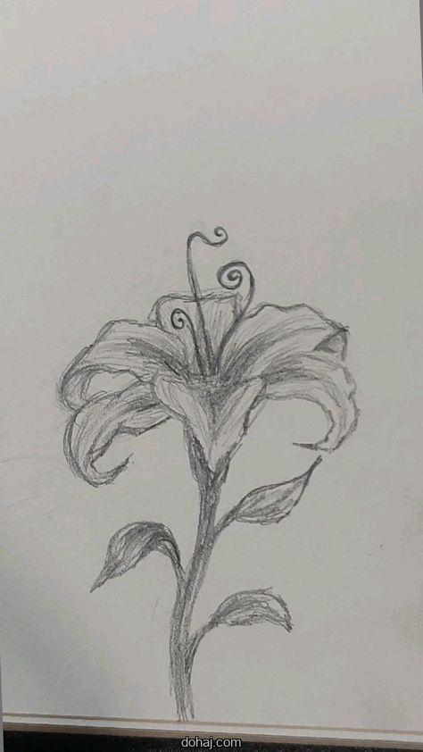 Sketch Lotus Flower Drawing
