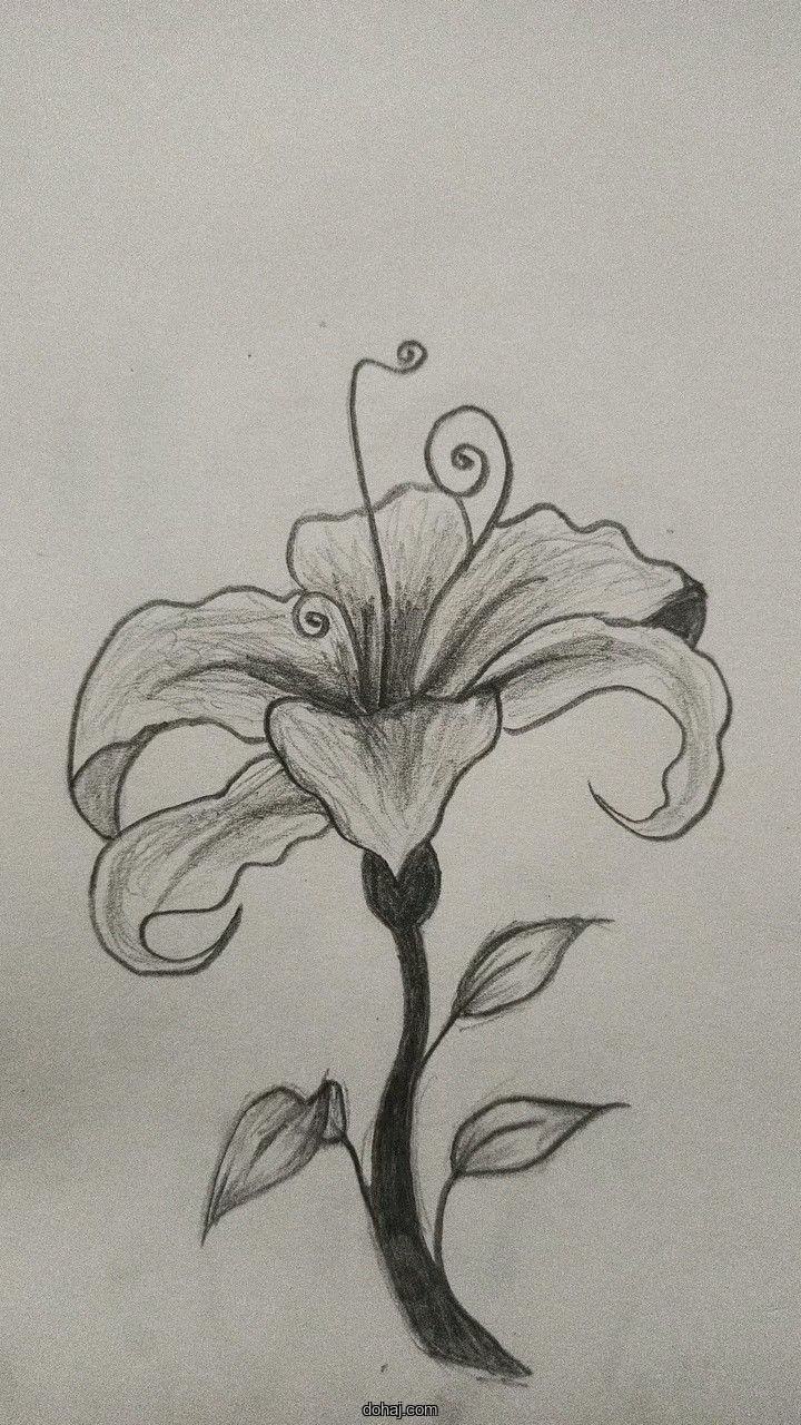 Small Flower Drawing