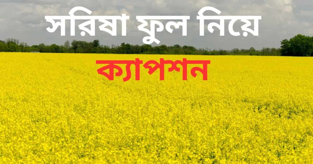 সরিষা ফুল নিয়ে ক্যাপশন: সরিষা ফুল নিয়ে ভালোবাসার ক্যাপশন, প্রেরণামূলক উক্তি