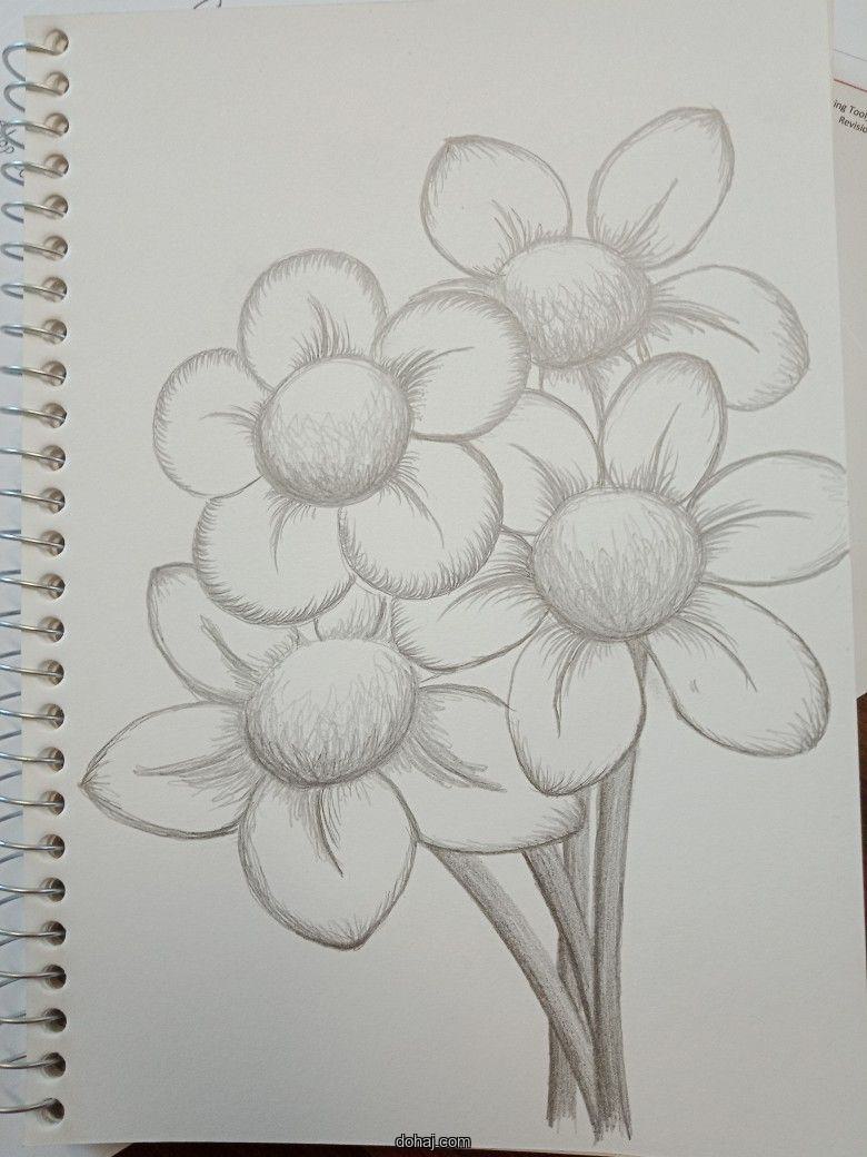 Tulip Flower Drawing